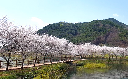 [완주] 모악산