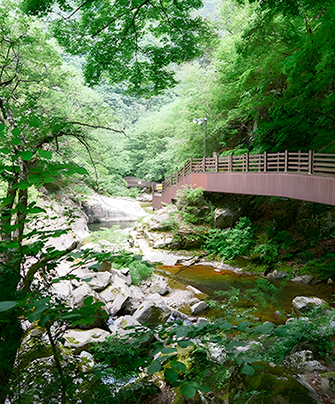 장안산군립공원