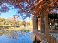 한국도로공사수목원