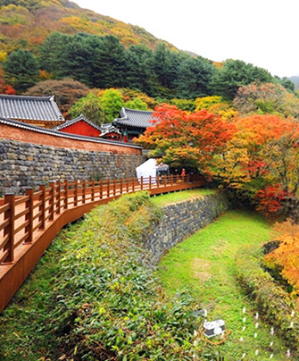 사찰 속 물든 애기단풍, 문수사