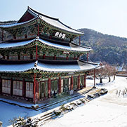 금산사