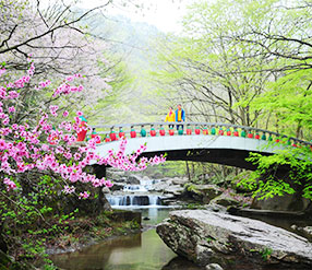 순창 강천산군립공원