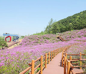 남원 바래봉