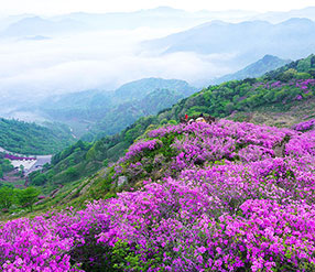 장수 봉화산