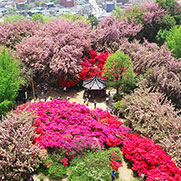 완산꽃동산