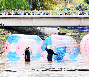와일드&로컬푸드축제