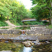 고산 자연휴양림