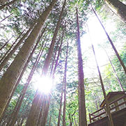 성수산 자연휴양림