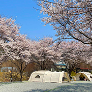 대둔산오토캠핑장