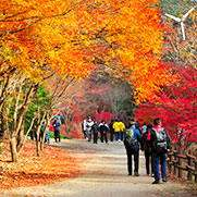 강천산군립공원