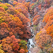 지리산국립공원