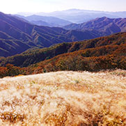장안산군립공원