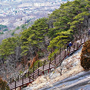 용궐산 치유의숲