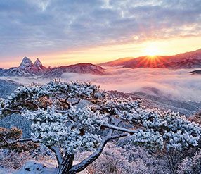 마이산도립공원