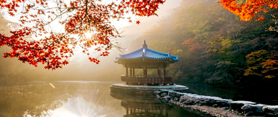 정읍내장산국립공원