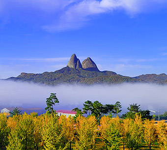 전북 관광 비전&브랜드