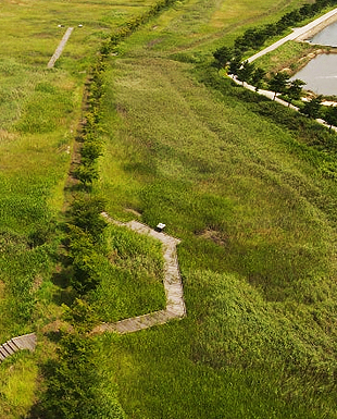 갯벌생태탐방로