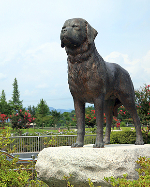 오수의견 관광지