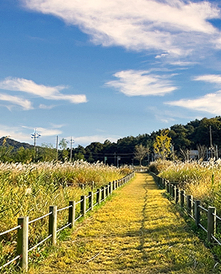 금강습지생태공원