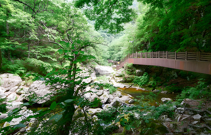 장안산군립공원