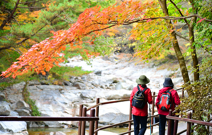 지리산 뱀사골