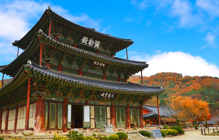 금산사