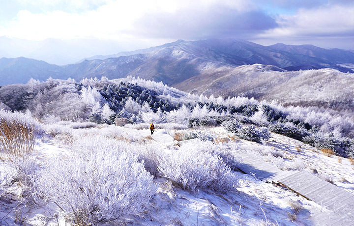 지리산 바래봉