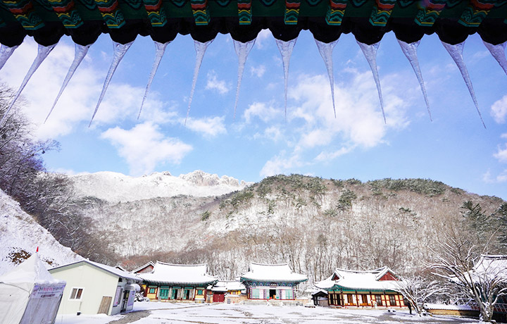 내장사