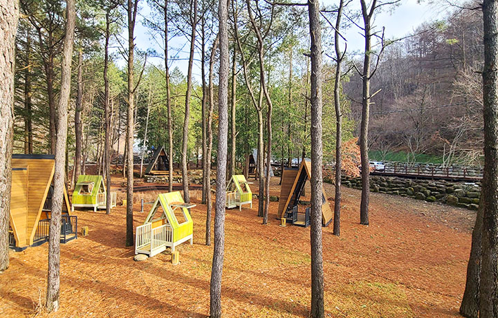 성수산자연휴양림