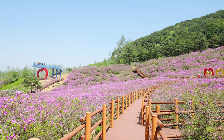 남원 바래봉