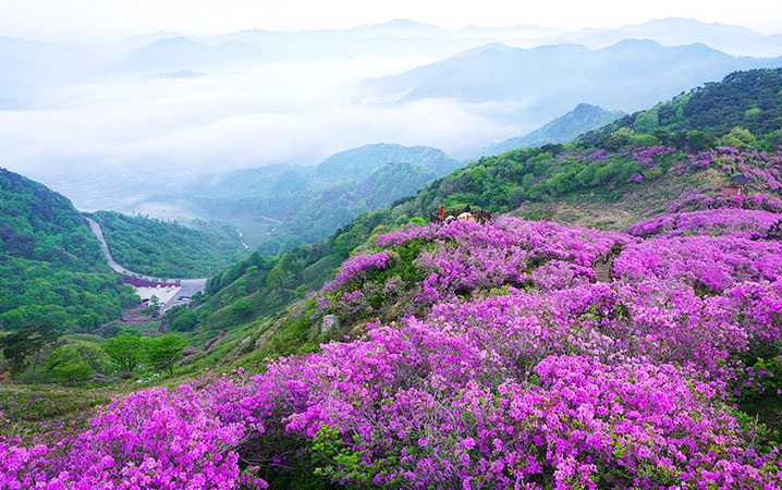 장수 봉화산