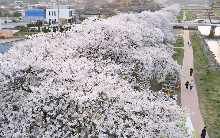 순창 옥천골(경천)