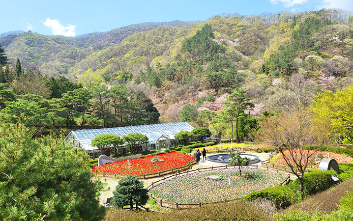 완주 대아수목원