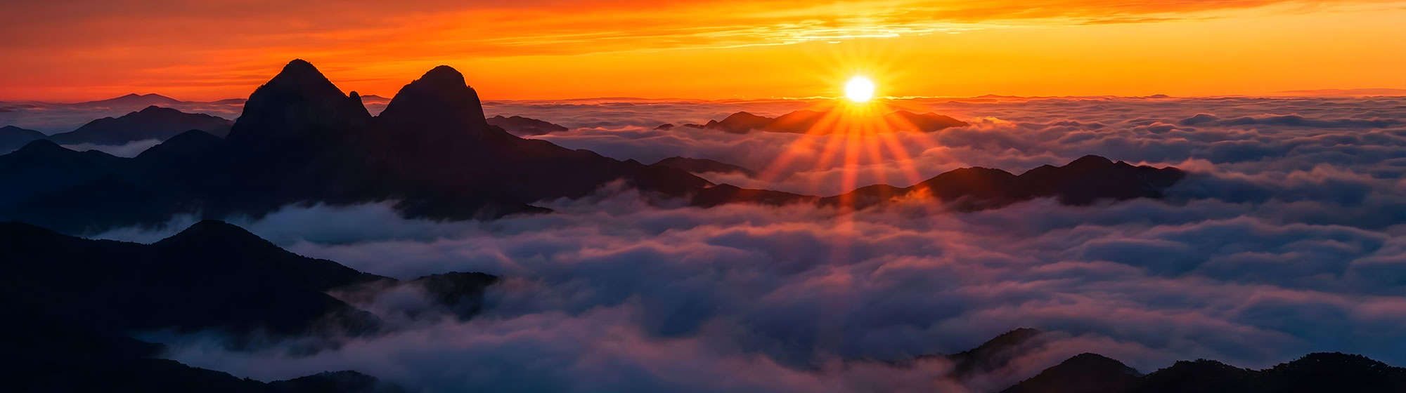Spring walkway with flowers
