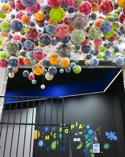 순창발효테마파크3