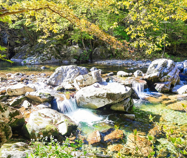 구천동 어사길 풍경02