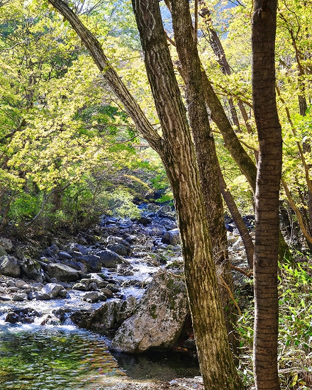 구천동 어사길 풍경03