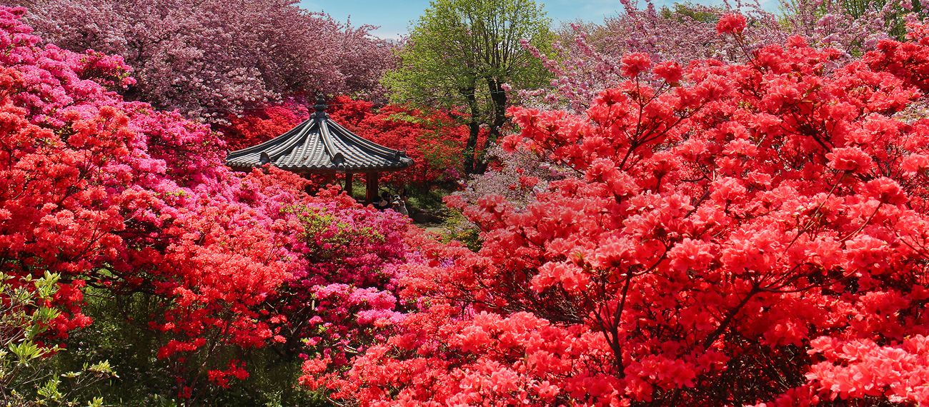꽃 따라 전북 따라, 화사한 봄꽃의 향연