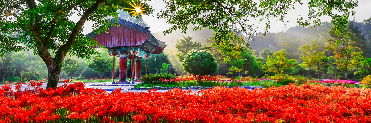 고창 선운사