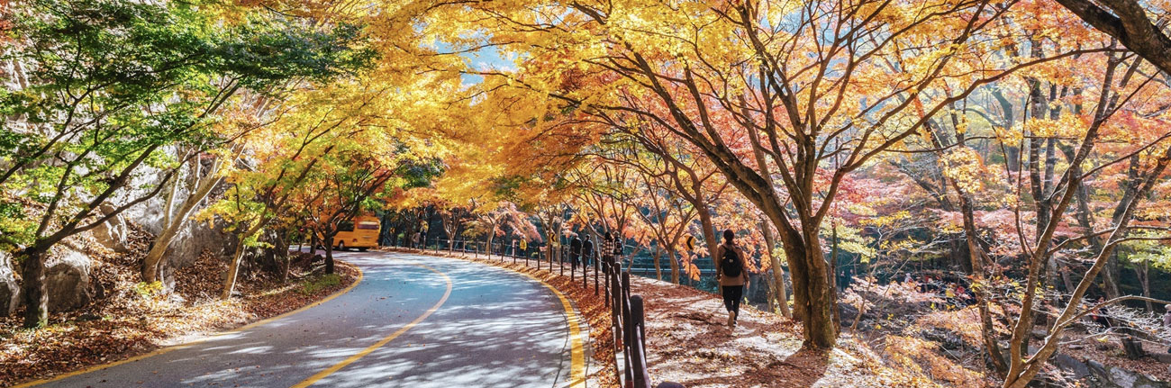 정읍 내장산국립공원