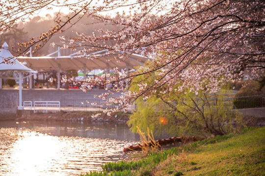 군산 은파호수공원