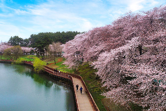 군산 은파호수공원