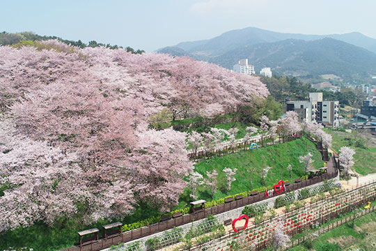 고창 교촌하늘공원