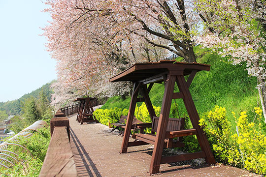 고창 교촌하늘공원