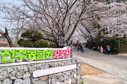 전주 완산꽃동산(완산칠봉꽃동산)