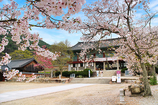 김제 금산사 진입로