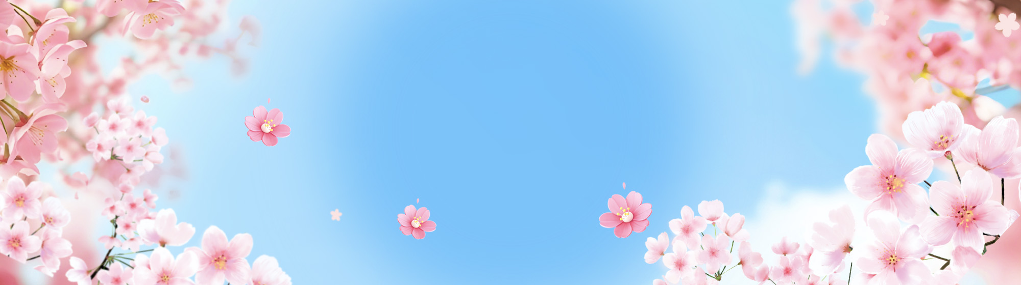 Spring walkway with flowers