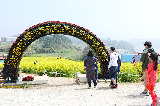 부안 수성당 유채꽃밭