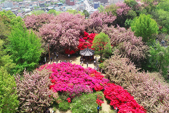 전주 완산꽃동산