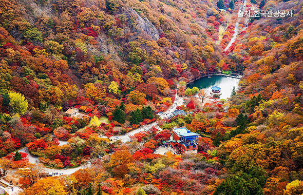 정읍내장산